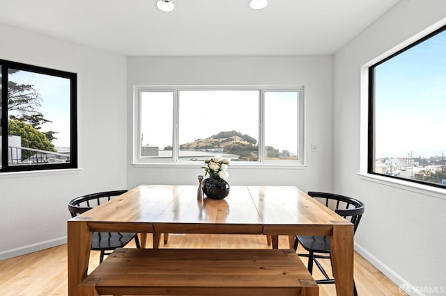 11 Sparta St, San Francisco, CA 94134 - dining room with plenty of natural light, light wood-style flooring, baseboards, and recessed lighting