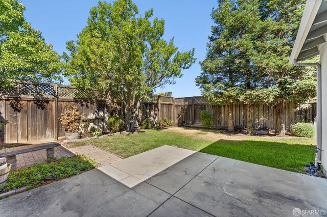 view of yard featuring a patio