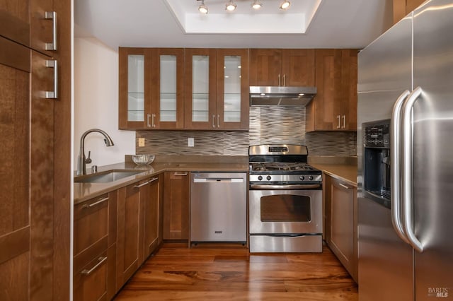 kitchen featuring under cabinet range hood, stainless steel appliances, a sink, a raised ceiling, and glass insert cabinets