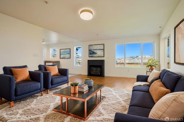 living room featuring light hardwood / wood-style flooring