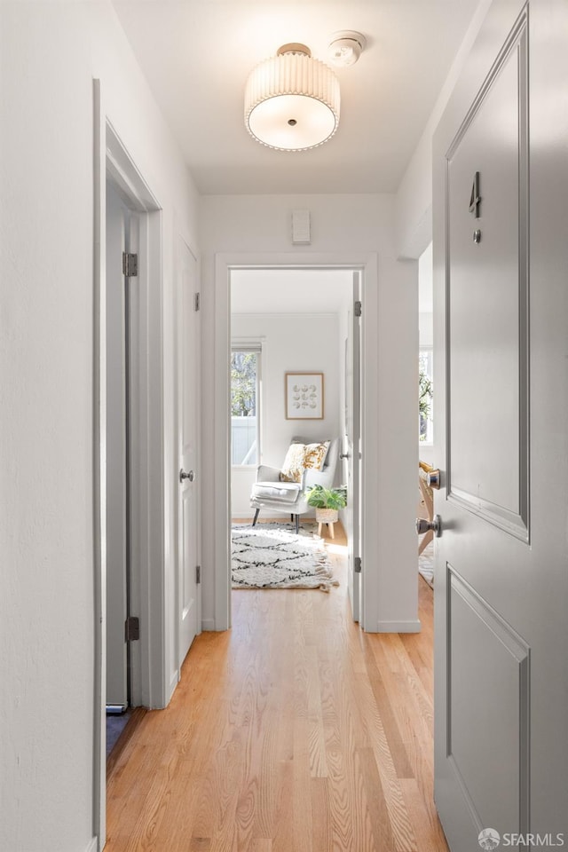 hallway with light hardwood / wood-style floors