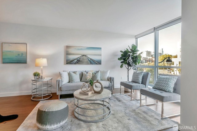 living room featuring a wall of windows and hardwood / wood-style flooring