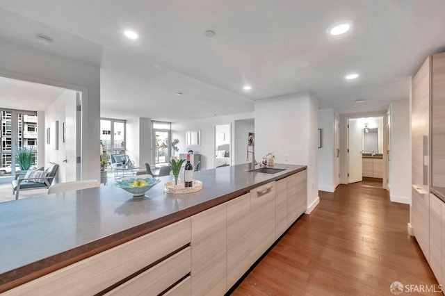 kitchen with sink and dark hardwood / wood-style floors