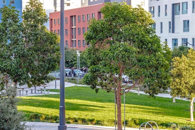 view of property's community with a lawn