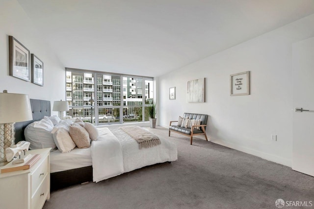 carpeted bedroom featuring floor to ceiling windows