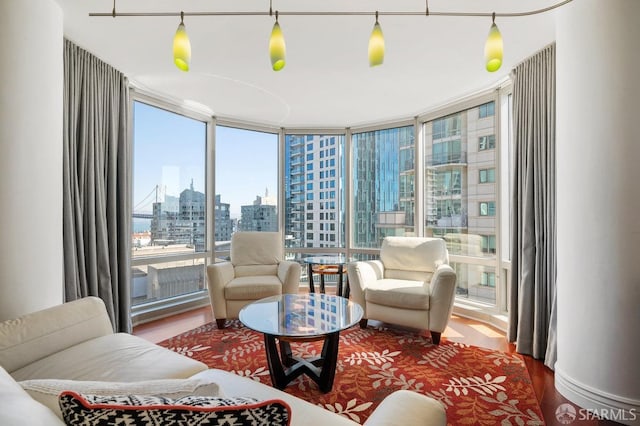 living room with hardwood / wood-style floors and a wall of windows