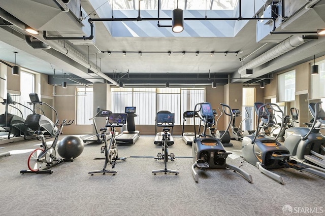 exercise room featuring carpet