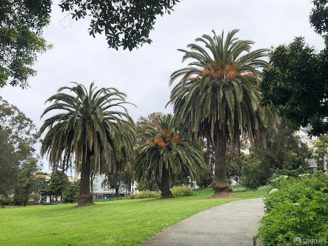 view of property's community with a lawn
