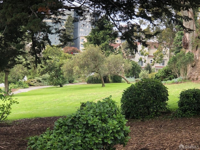 view of community featuring a lawn