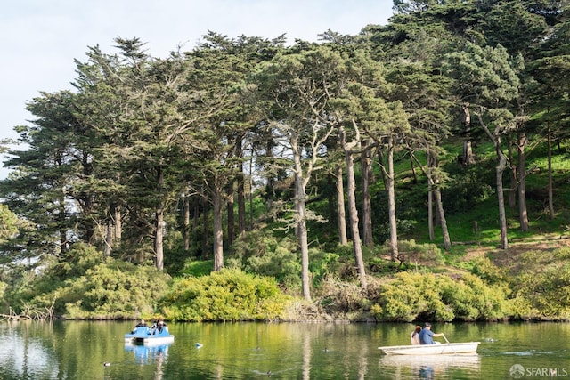 property view of water featuring a view of trees and a dock