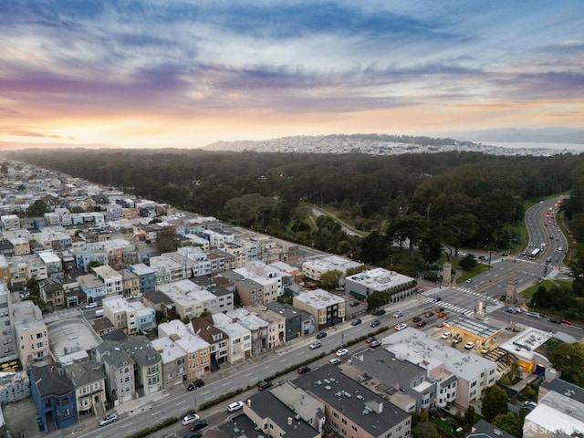 drone / aerial view