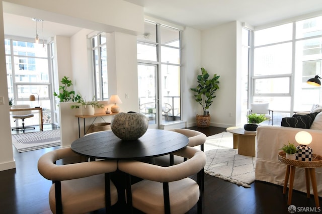 dining space with a wall of windows, a healthy amount of sunlight, baseboards, and wood finished floors