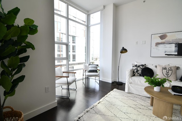 living area featuring expansive windows, dark wood-type flooring, and baseboards