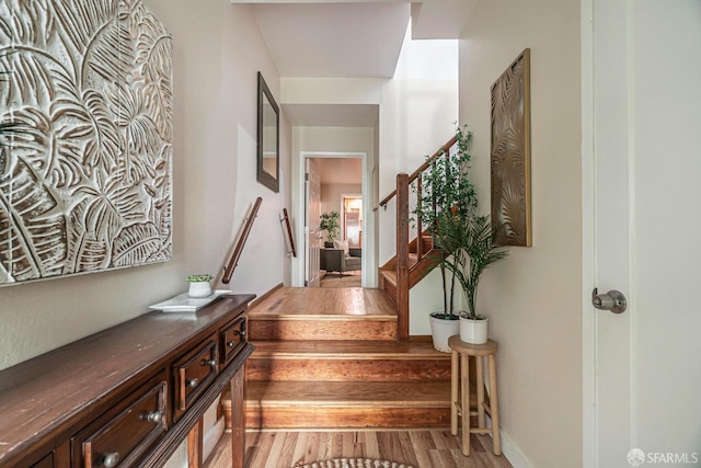 staircase with hardwood / wood-style flooring