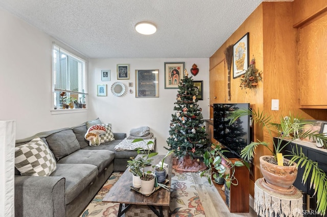 living room with light hardwood / wood-style floors and a textured ceiling