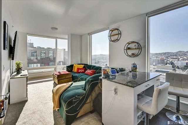 1400 Mission St, San Francisco, CA 94103 - living room with floor to ceiling windows and a city view
