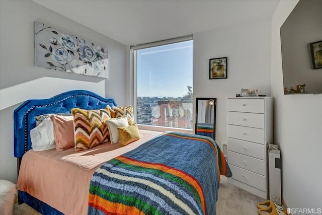 1400 Mission St, San Francisco, CA 94103 - view of carpeted bedroom
