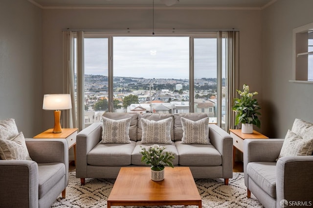 living room with ornamental molding