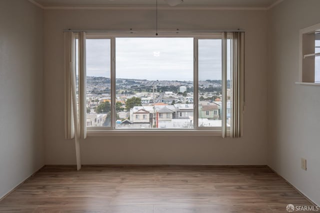 unfurnished room with light wood-type flooring