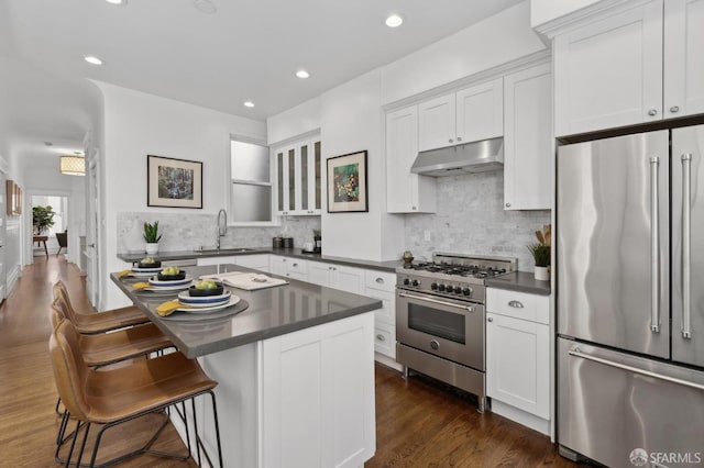 1265 Union St, San Francisco, CA 94109 - kitchen featuring high quality appliances, under cabinet range hood, a sink, dark countertops, and dark wood-type flooring