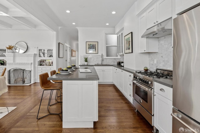 1265 Union St, San Francisco, CA 94109 - kitchen with appliances with stainless steel finishes, under cabinet range hood, dark countertops, a sink, and recessed lighting