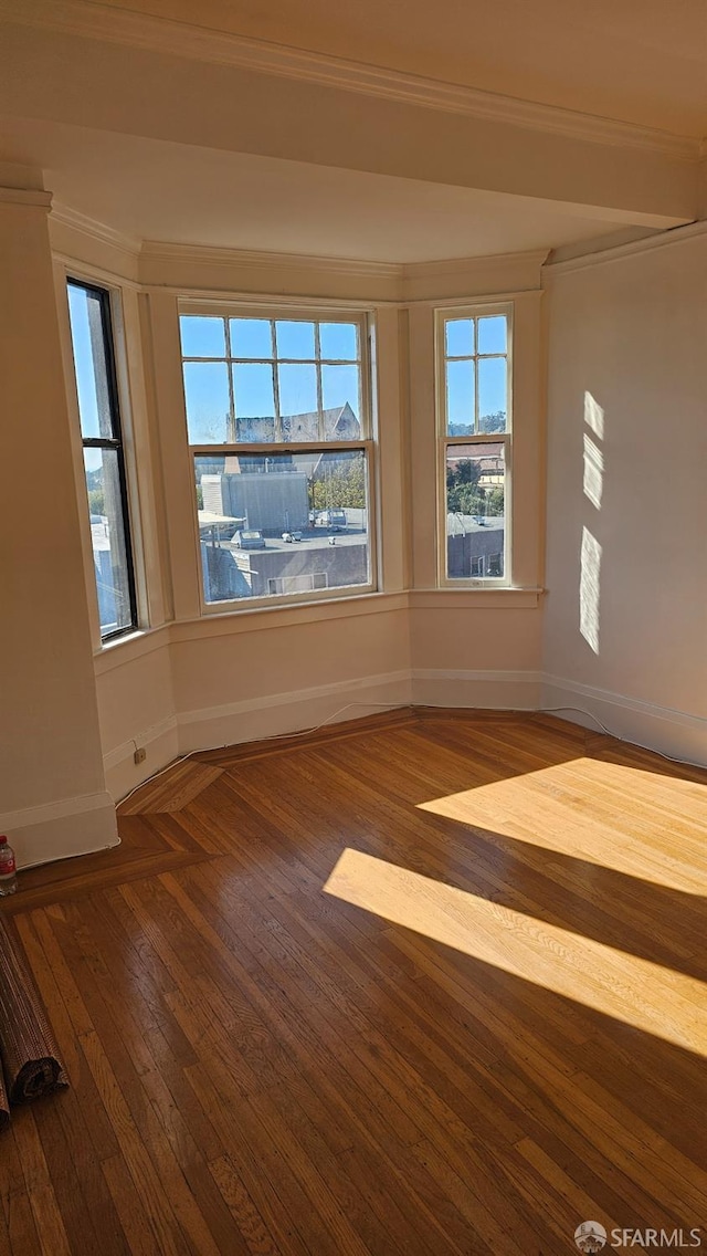 spare room featuring ornamental molding and wood-type flooring