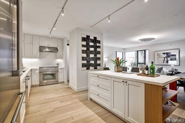 150 Eureka St, San Francisco, CA 94114 - kitchen featuring high quality appliances, rail lighting, under cabinet range hood, and light wood-type flooring