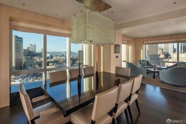 dining area with dark hardwood / wood-style floors