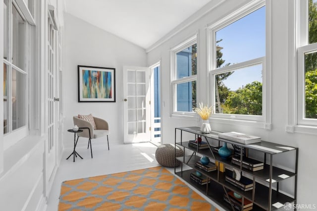 3031 20th St, San Francisco, CA 94110 - sunroom with vaulted ceiling