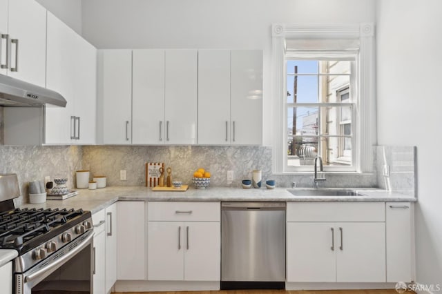 3031 20th St, San Francisco, CA 94110 - kitchen featuring appliances with stainless steel finishes, under cabinet range hood, a sink, and tasteful backsplash