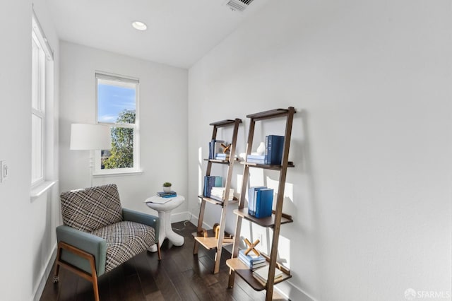 living area featuring dark wood-type flooring