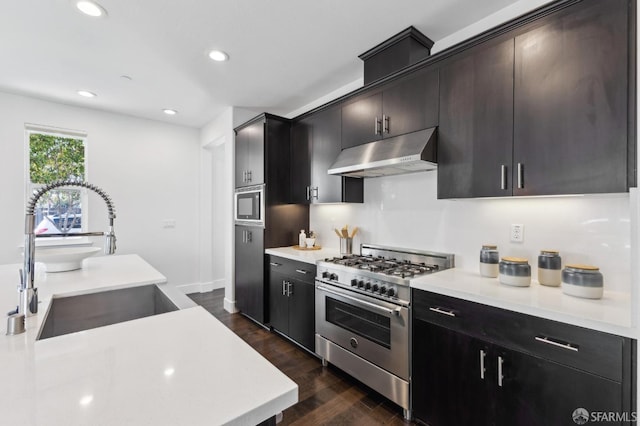 kitchen with sink, dark hardwood / wood-style floors, and high end stainless steel range