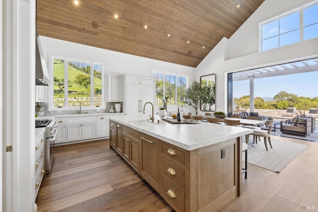 kitchen featuring high end stove, decorative backsplash, sink, a kitchen island with sink, and white cabinets