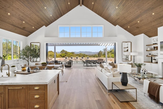 living room featuring high vaulted ceiling, a mountain view, and wooden ceiling