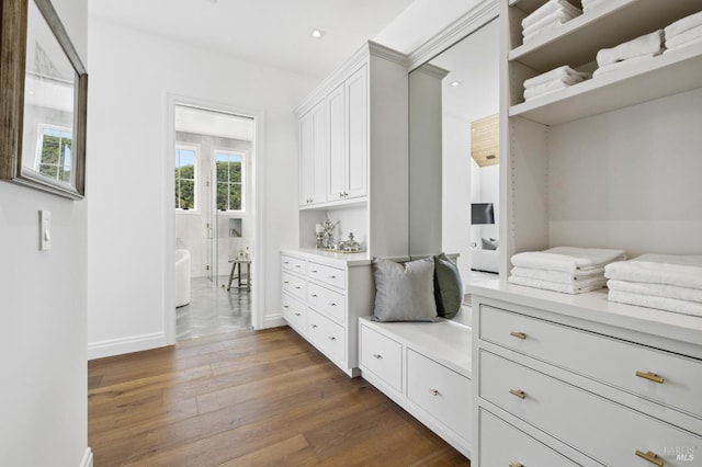 walk in closet featuring dark wood-type flooring