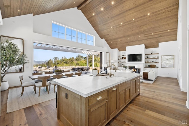 kitchen featuring high vaulted ceiling, a kitchen island with sink, sink, and light wood-type flooring