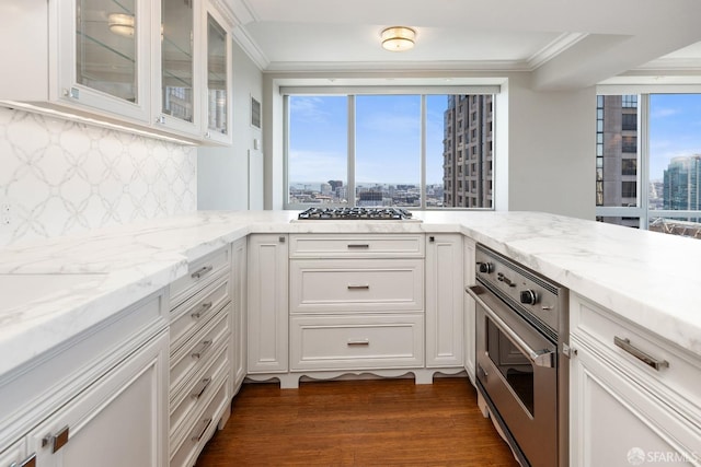 765 Market St Unit 25G, San Francisco, CA 94103 - kitchen with a view of city, stainless steel appliances, ornamental molding, dark wood finished floors, and light stone counters