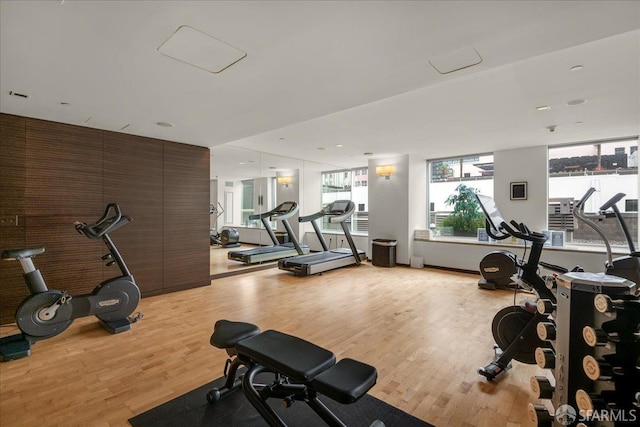 exercise room with light hardwood / wood-style floors