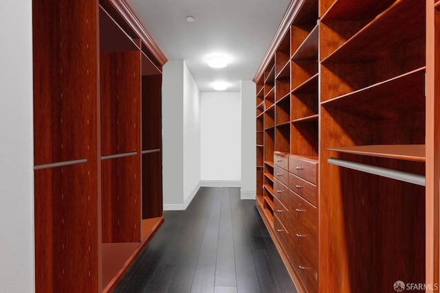 walk in closet with dark hardwood / wood-style floors