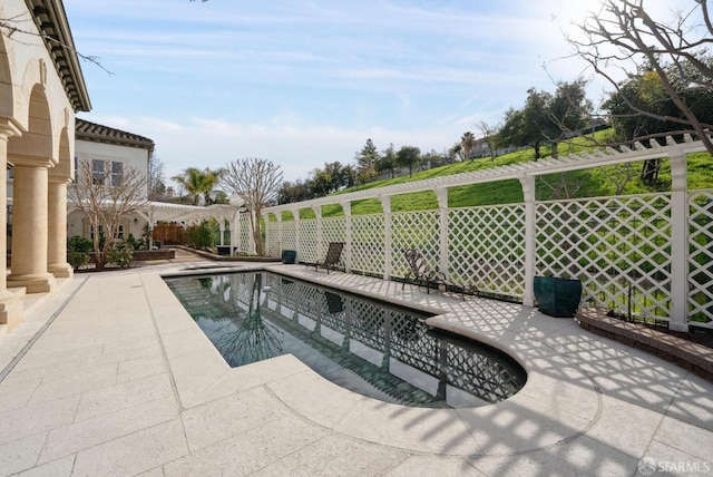 view of swimming pool with a patio