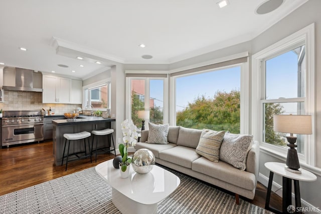 1983 15th Ave, San Francisco, CA 94116 - living room with plenty of natural light, dark wood-style floors, crown molding, and recessed lighting