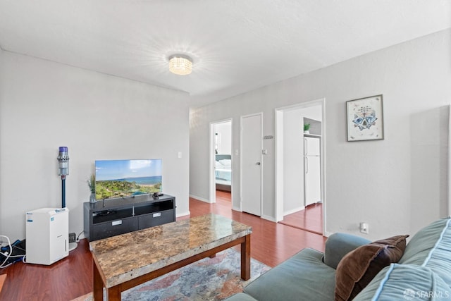 living room with wood-type flooring