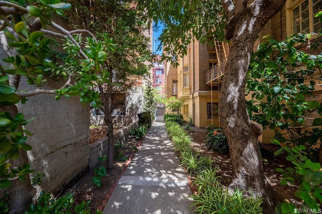 1073 Bush St, San Francisco, CA 94109 - photo 15