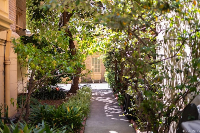 1073 Bush St, San Francisco, CA 94109 - photo 4