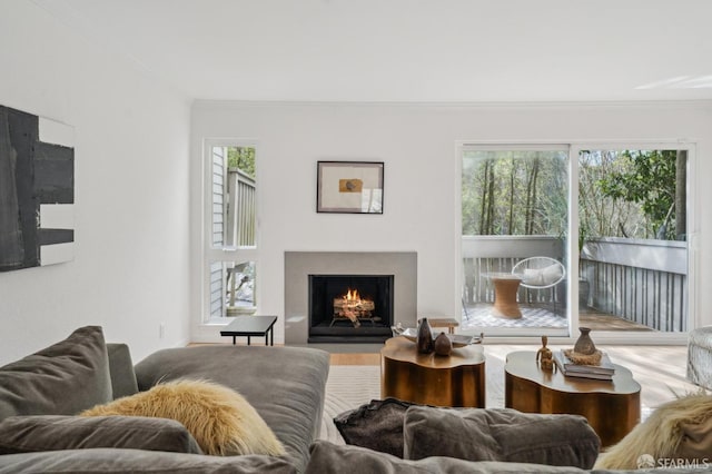 living room featuring a fireplace with flush hearth and crown molding