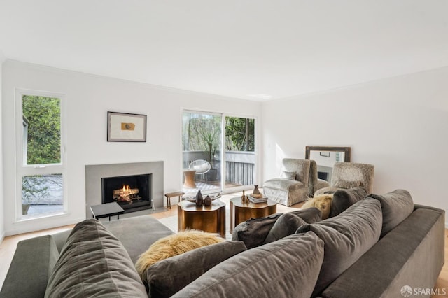 living room featuring a fireplace with flush hearth and light wood-type flooring