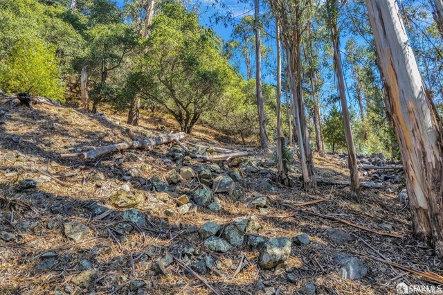 0 3 Ascot Dr, Oakland, CA 94611 - photo 32