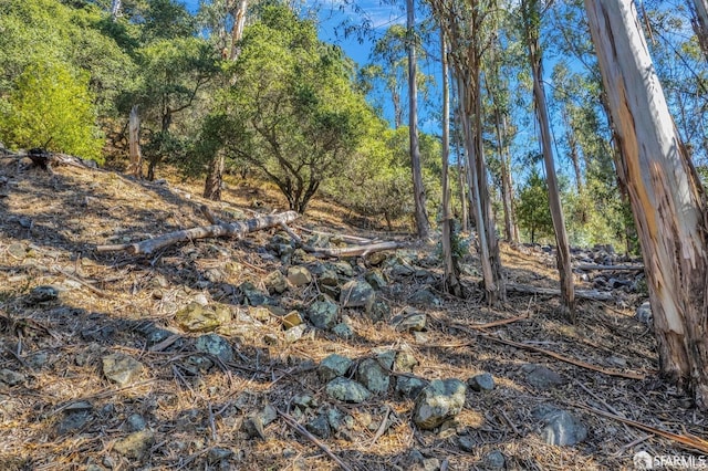 0 3 Ascot Dr, Oakland, CA 94611 - photo 4