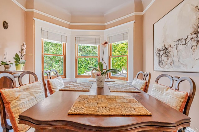 428 Monterey Blvd, San Francisco, CA 94127 - dining area featuring plenty of natural light