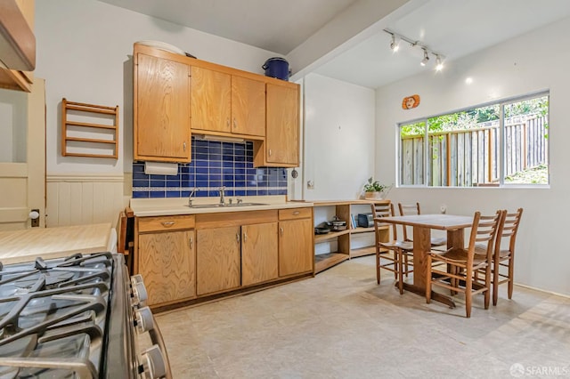 428 Monterey Blvd, San Francisco, CA 94127 - kitchen with stainless steel range with gas stovetop, light countertops, rail lighting, wainscoting, and tasteful backsplash